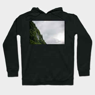 Forest Cliff Hoodie